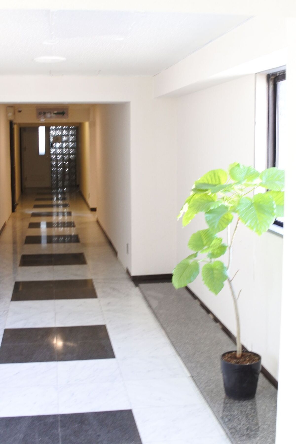 Kagoshima Guest House M104 - Hostel Extérieur photo